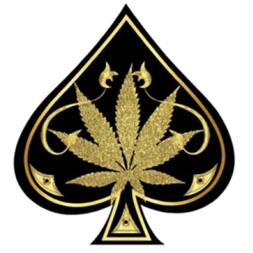 aceultravapestore.com